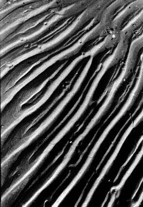 Brianti_Stefano_Earths_wrinkles_2